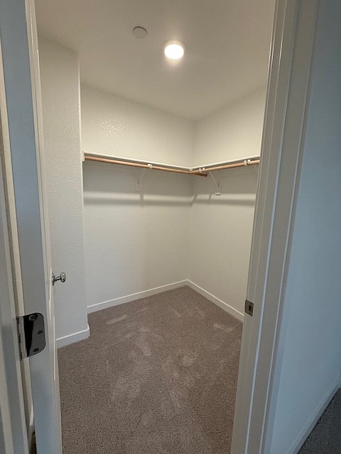 Primary bedroom - spacious walk-in closet. 
