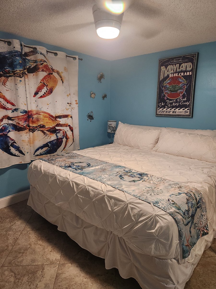 Furnished Finder property 888006_1 photo 13
