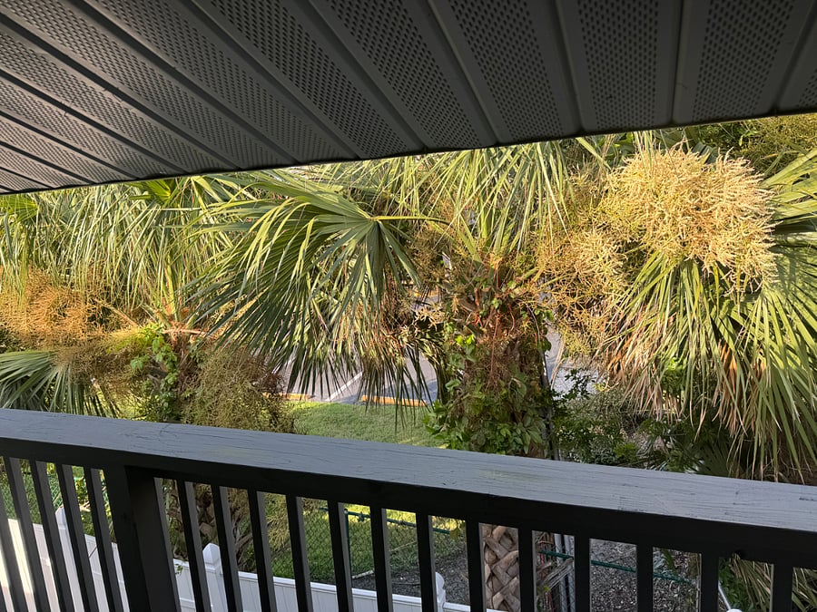 Furnished Finder property 888038_1 photo 26