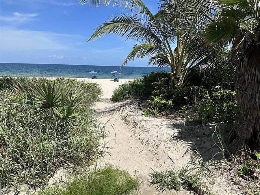 Beach