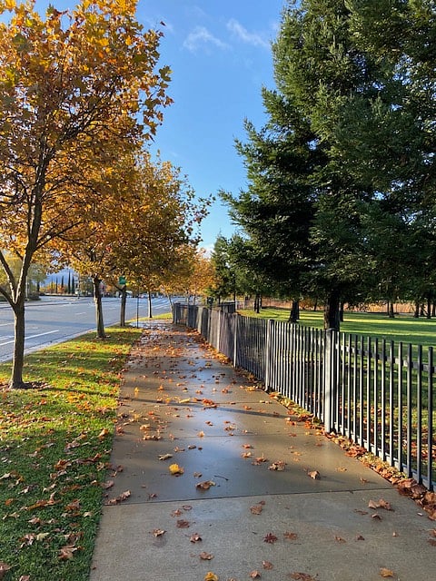Park across the street