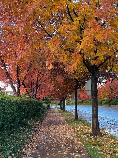 Neighborhood