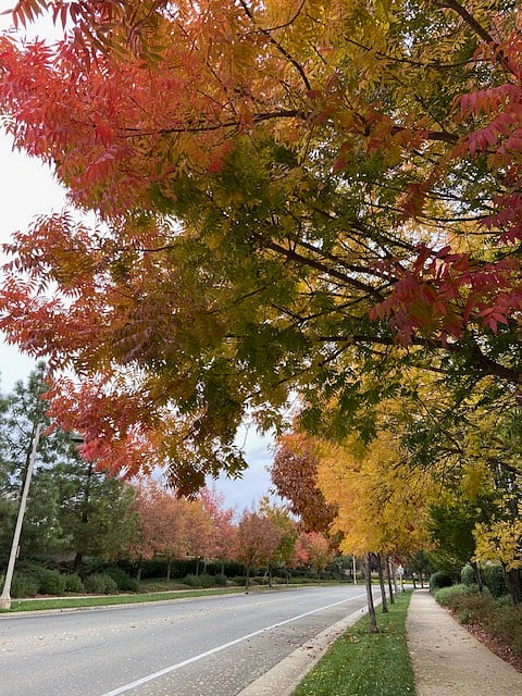 Neighborhood
