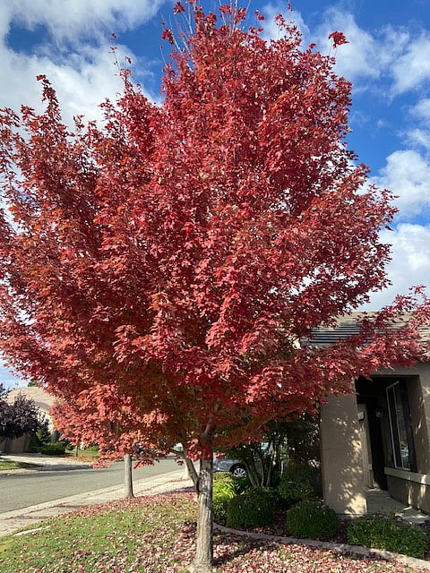 Neighborhood