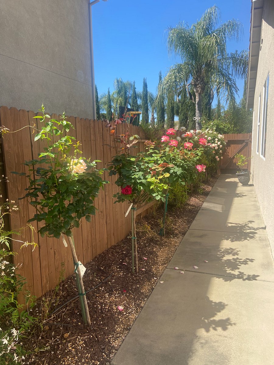 Furnished Finder property 888118_2 photo 19