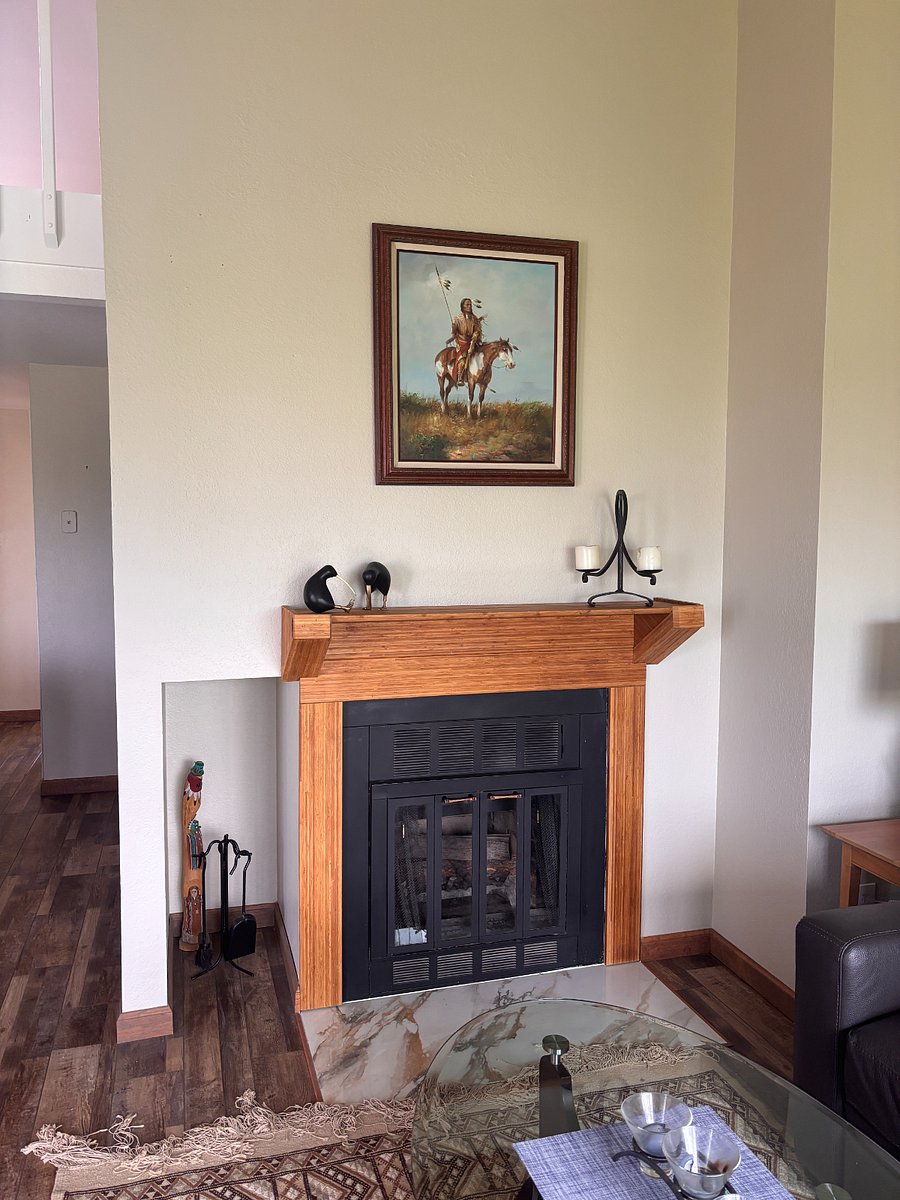 Wood burning fireplace