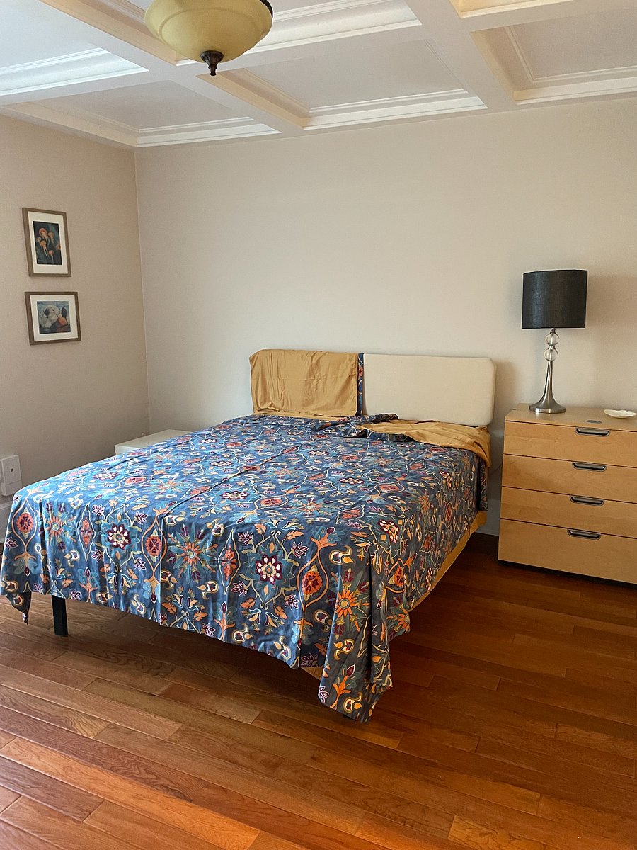 Downstairs bedroom