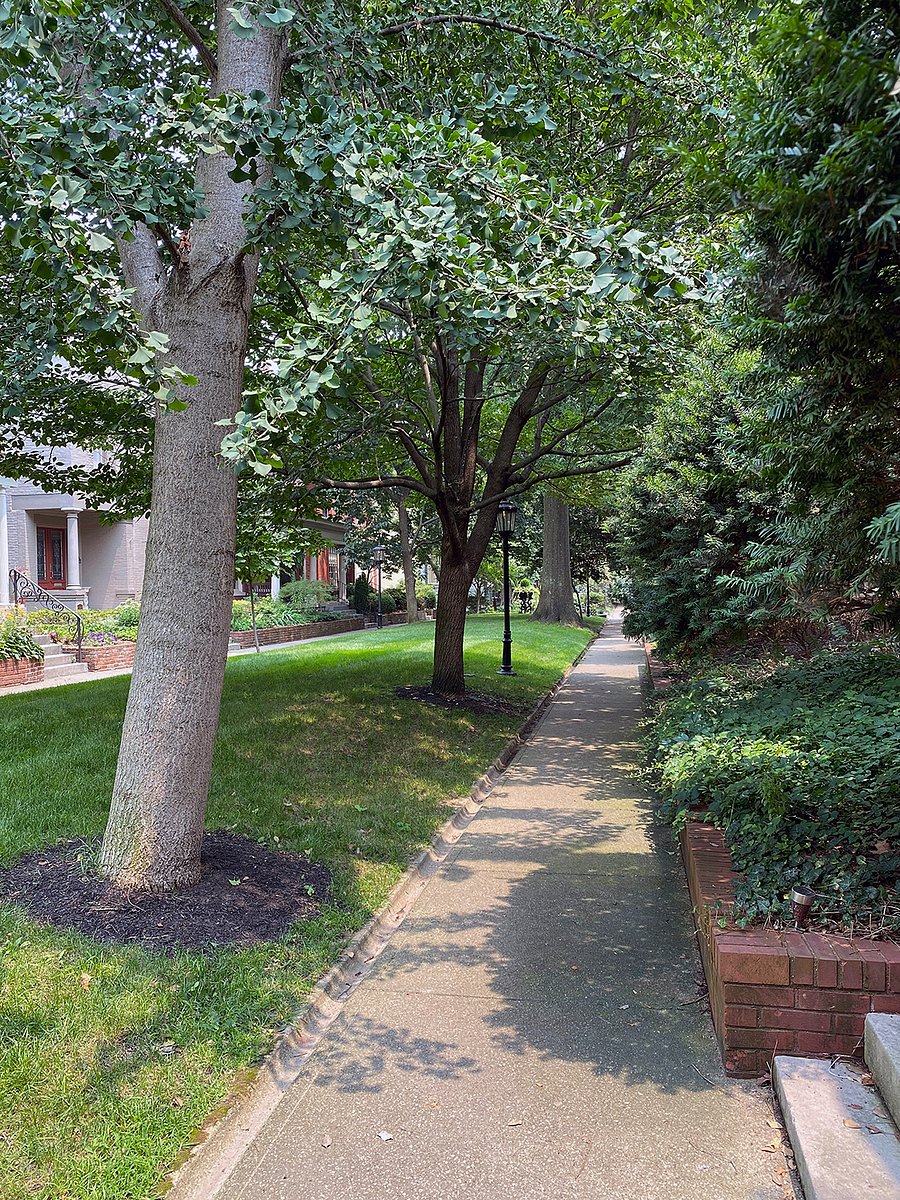 Street location