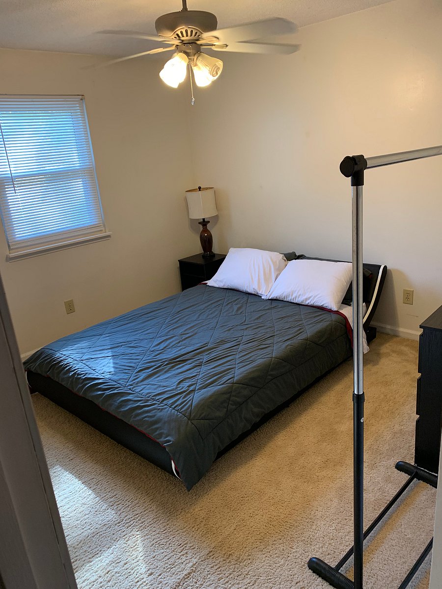 Furnished Finder property 888209_1 photo 15