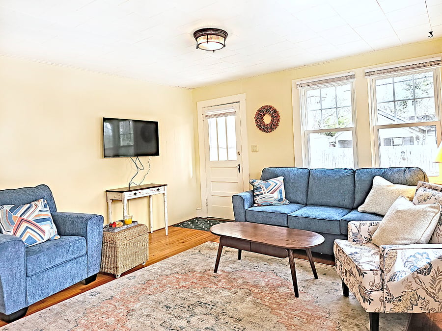 Living room with queen-sized sofa bed and Smart TV