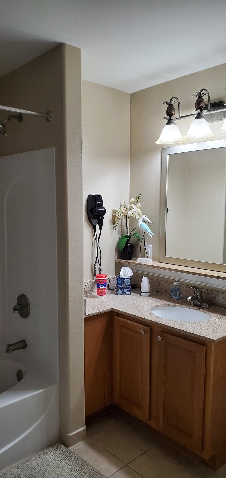 Furnished Finder property 888249_1 photo 15