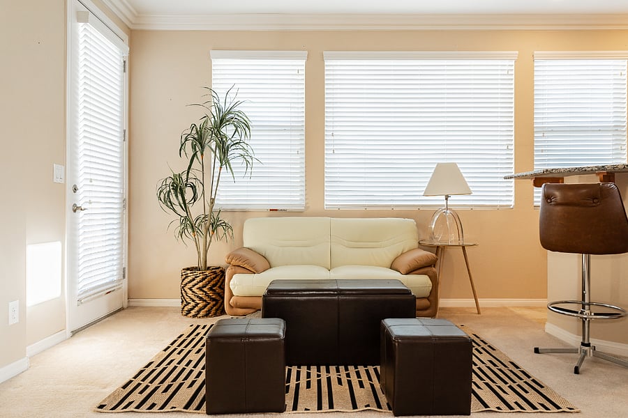 Furnished Finder property 888254_1 photo 7