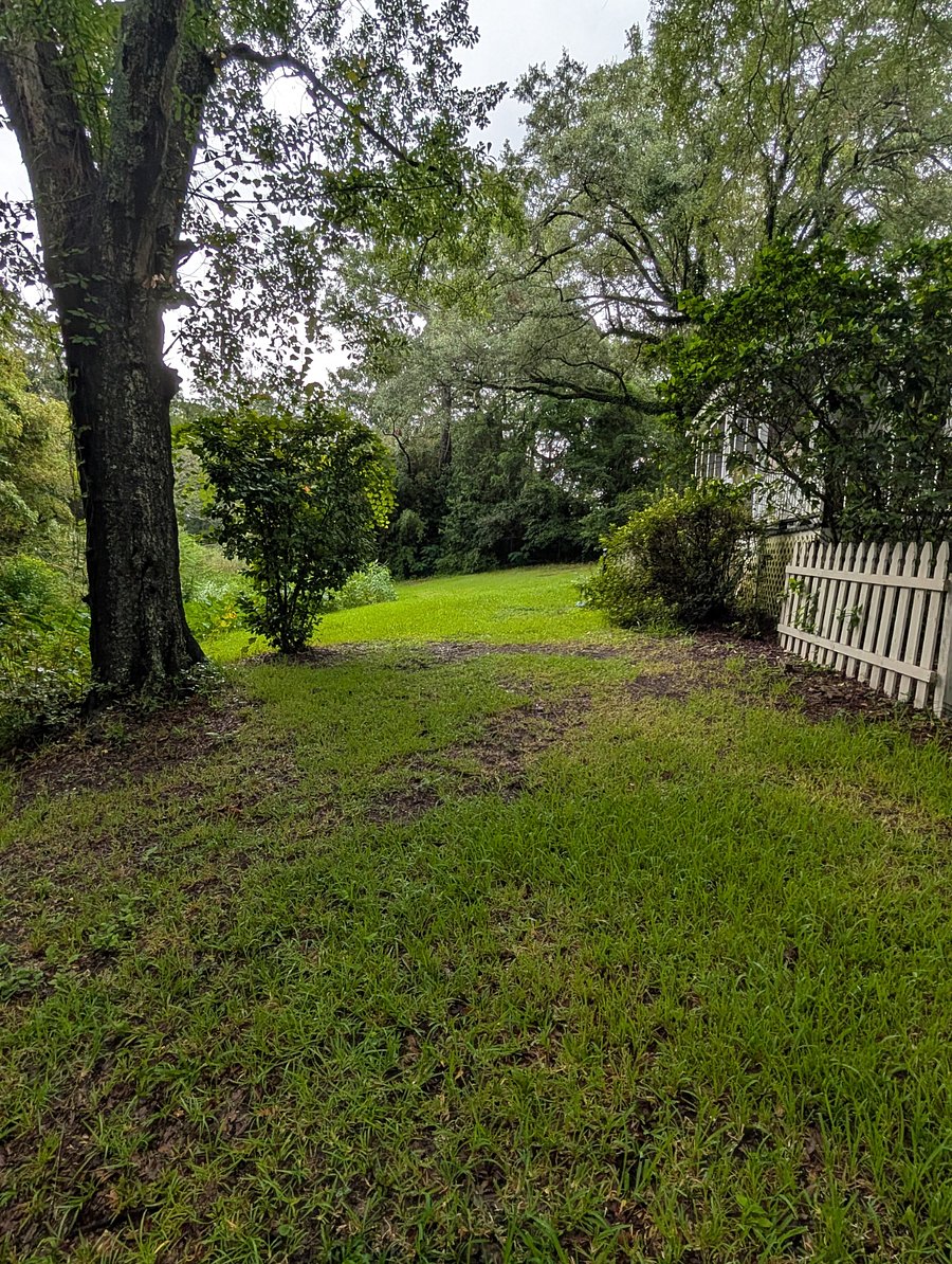 Furnished Finder property 888308_1 photo 17