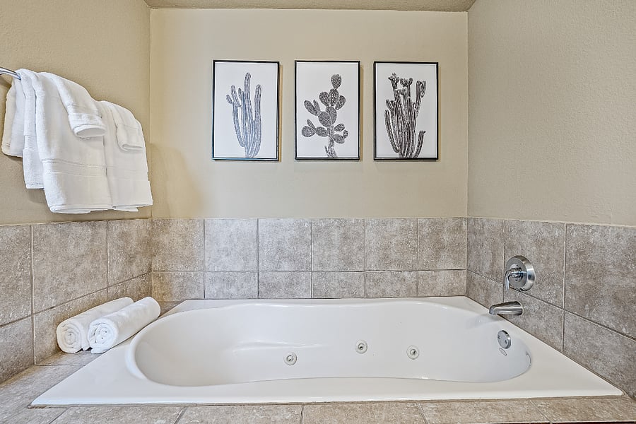 Primary Bathroom tub