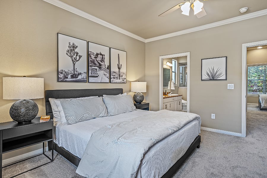 Primary Bedroom - King sized bed