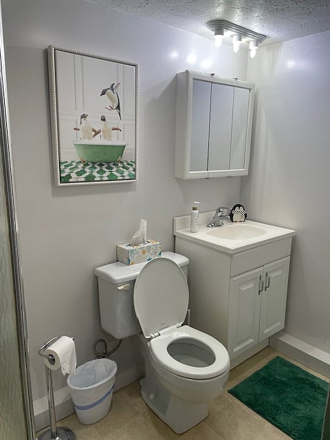 Furnished Finder property 888367_1 photo 19