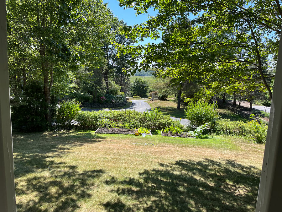 View from the outdoor cabin porch.