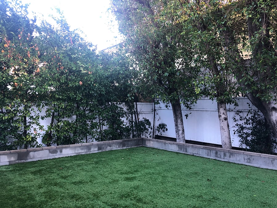 Furnished Finder property 888519_1 photo 13