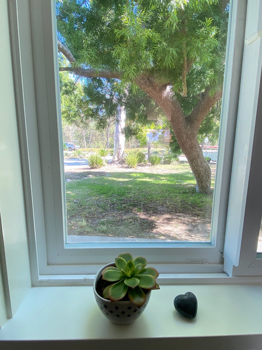 kitchen views to green belt Hondo Park hiking trails