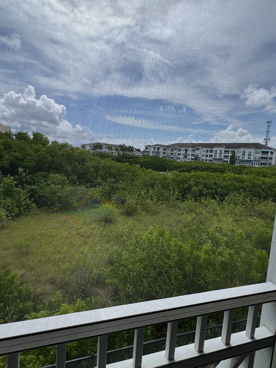 Furnished Finder property 888550_1 photo 11