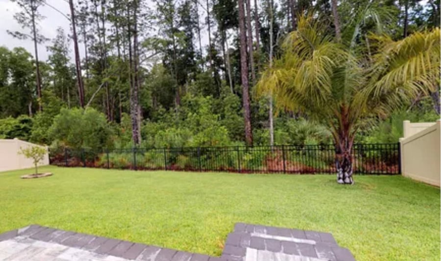 Beautiful preserve views in backyard.
