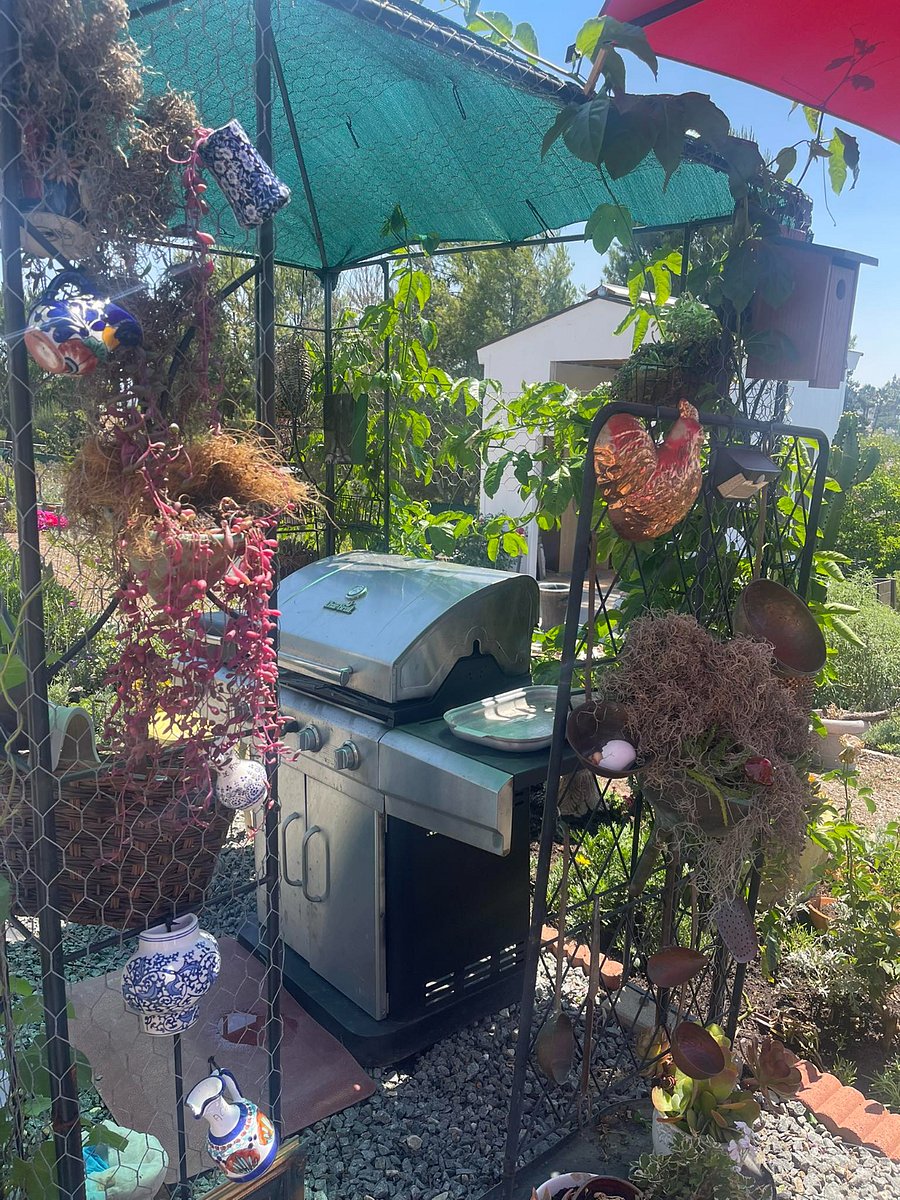 outdoor bbq - charcoal, gas