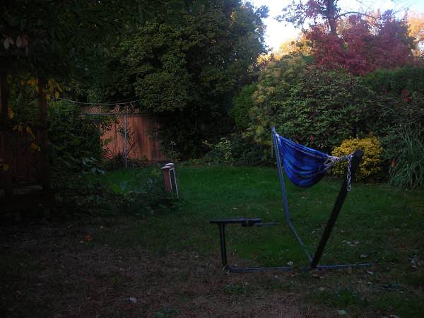 Hammock in the back yard.
