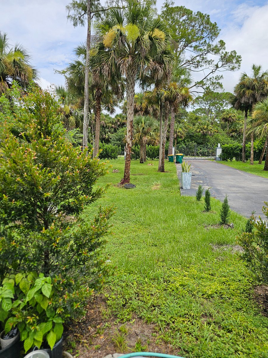 Furnished Finder property 888924_1 photo 12