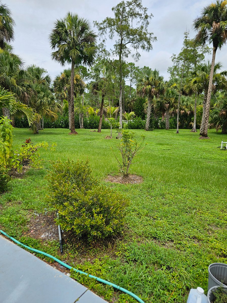 Furnished Finder property 888924_1 photo 13