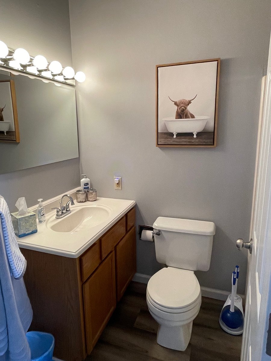 Furnished Finder property 888971_1 photo 17
