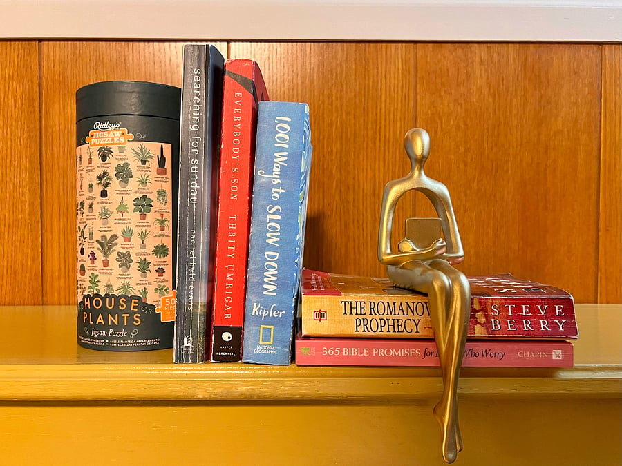 Just a sample of the books, puzzles, and games available