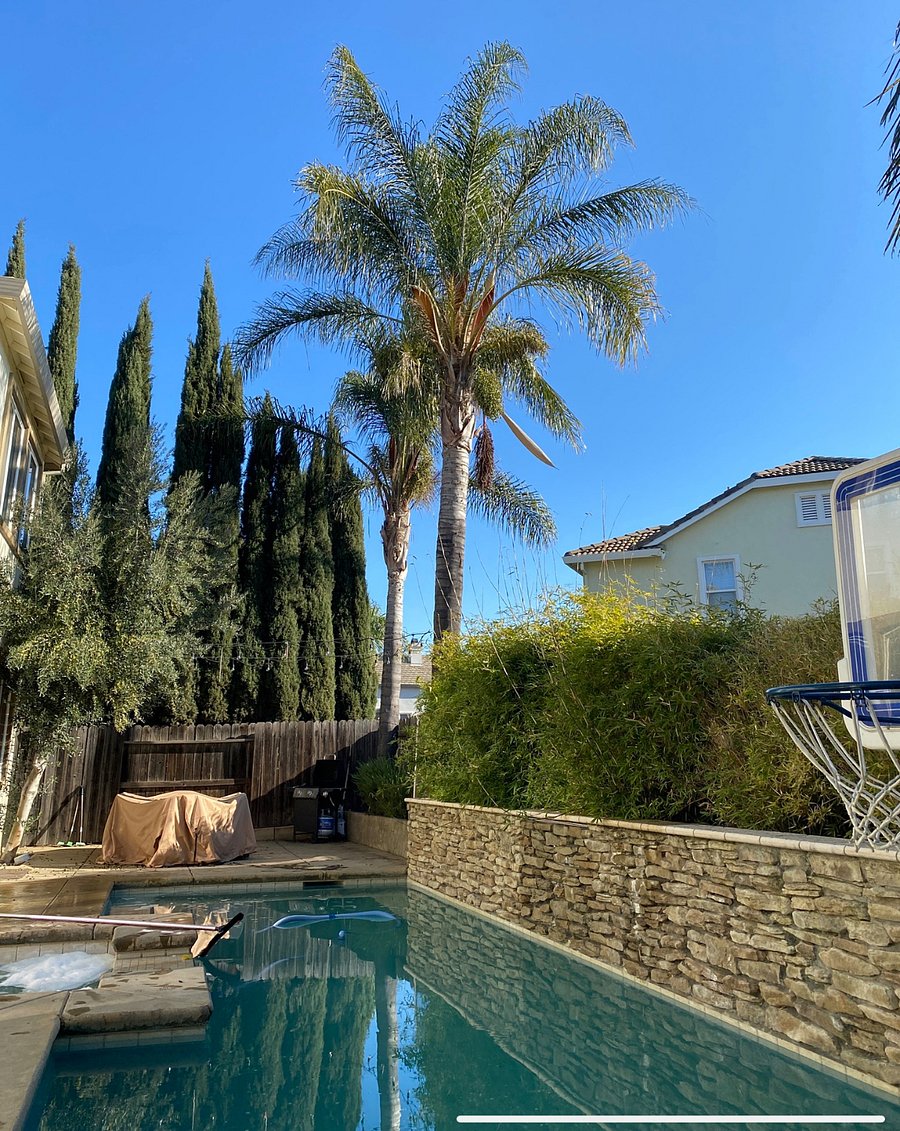 Furnished Finder property 889172_1 photo 6