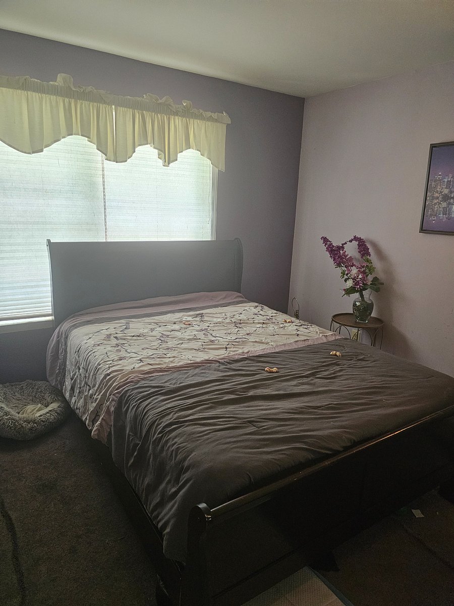 Furnished Finder property 889300_1 photo 4