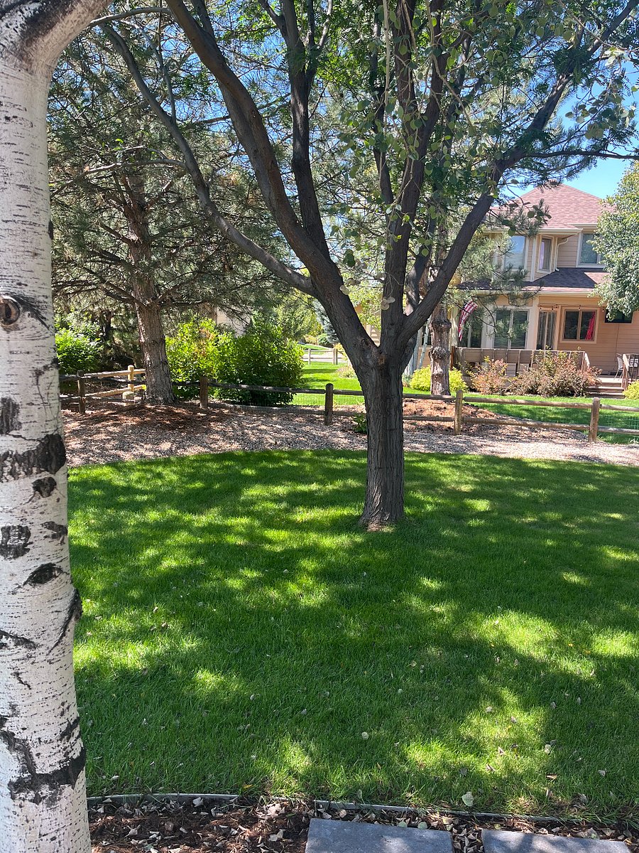 Furnished Finder property 889328_1 photo 16