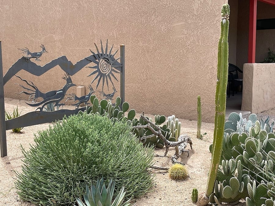 Desert plantings and landscape artwork near pool.