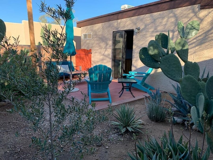 Backyard