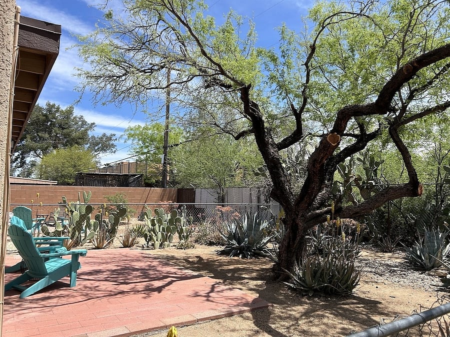 Backyard.
