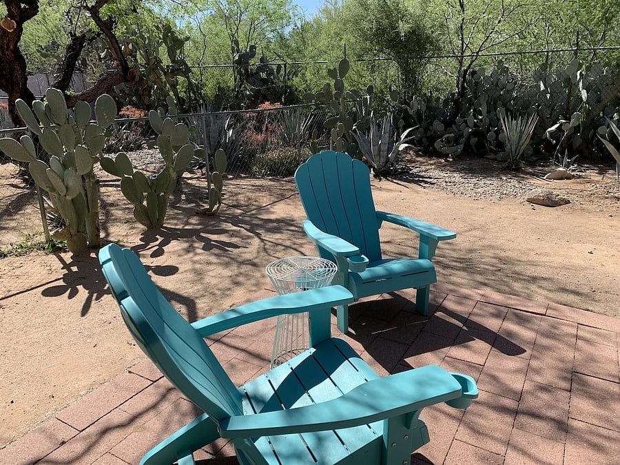 Backyard.