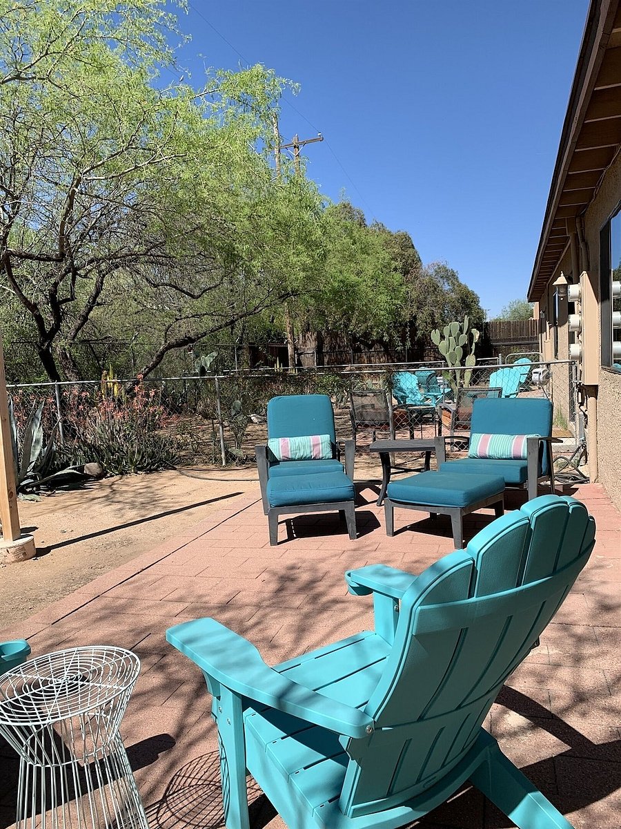 Backyard.