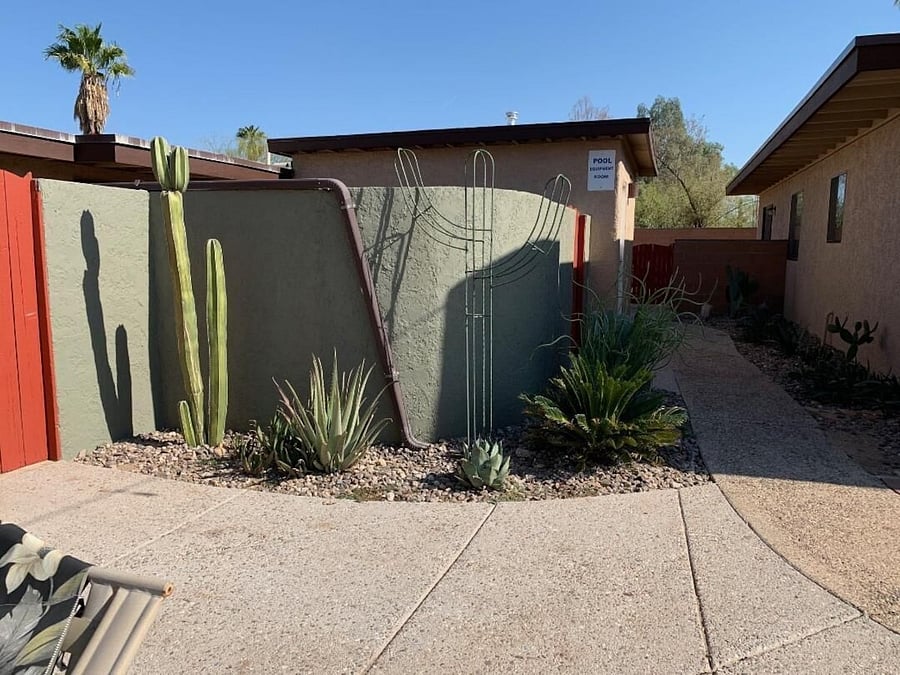 Desert landscaping.
