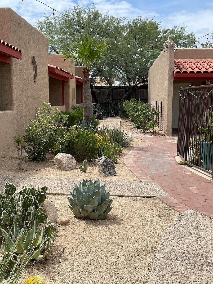 Desert landscaping on site.