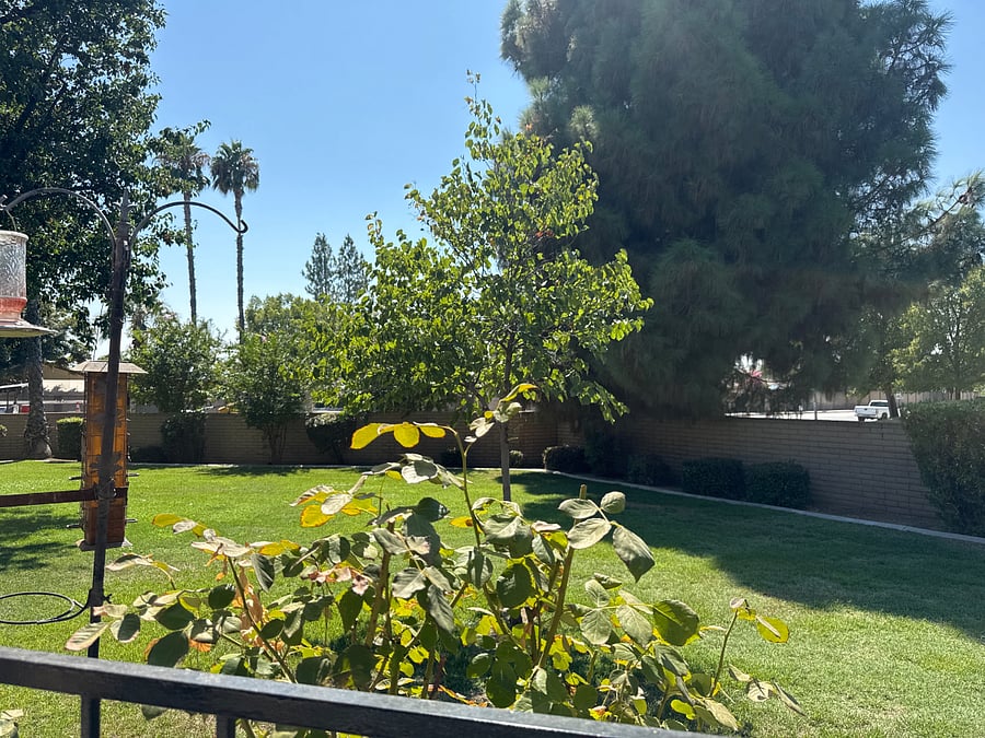 Furnished Finder property 889506_1 photo 21