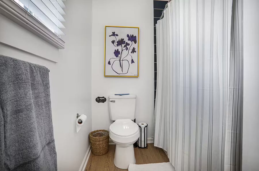 Hall bathroom