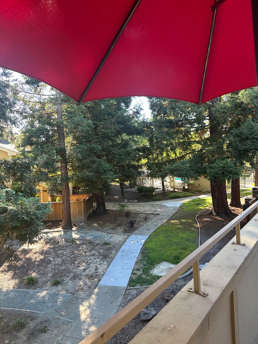 View from the patio more photos coming soon