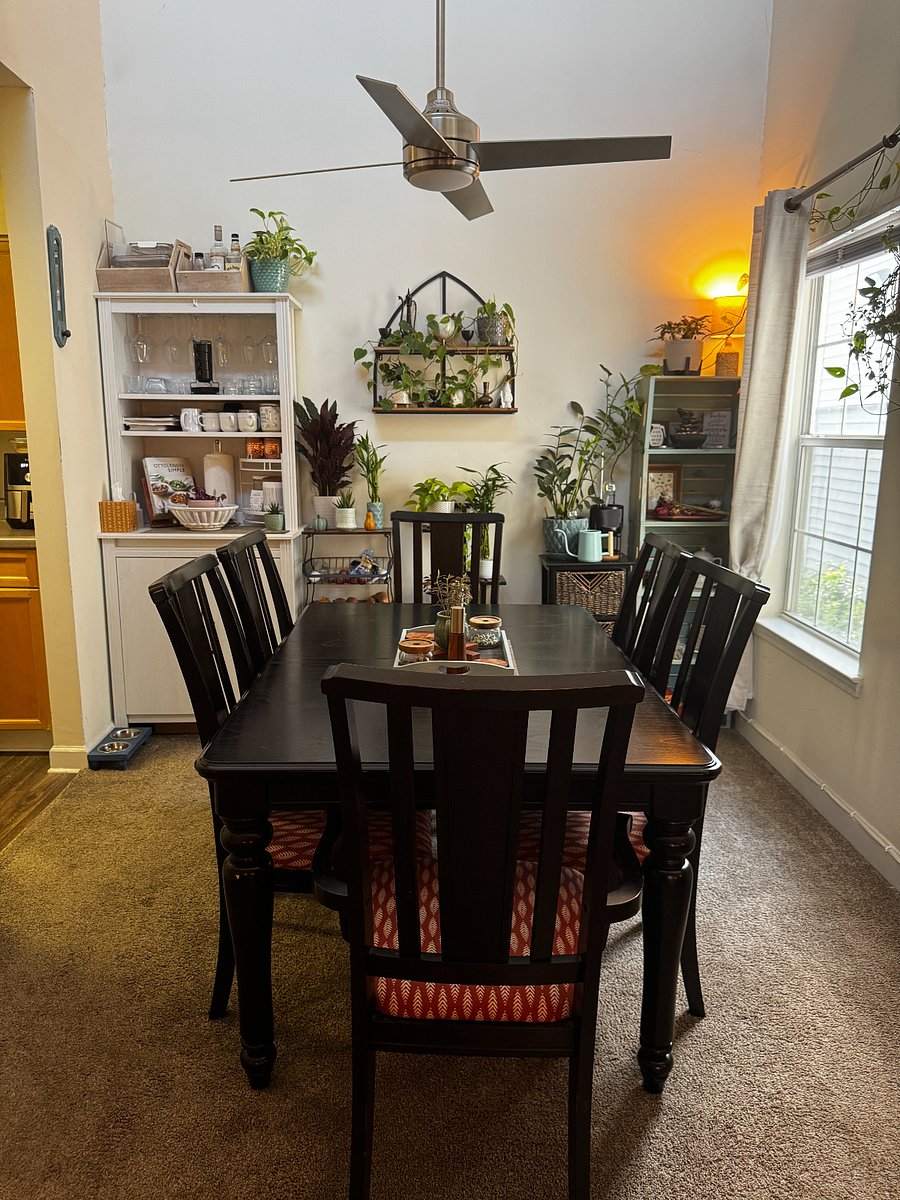 dining room with lots of house plants