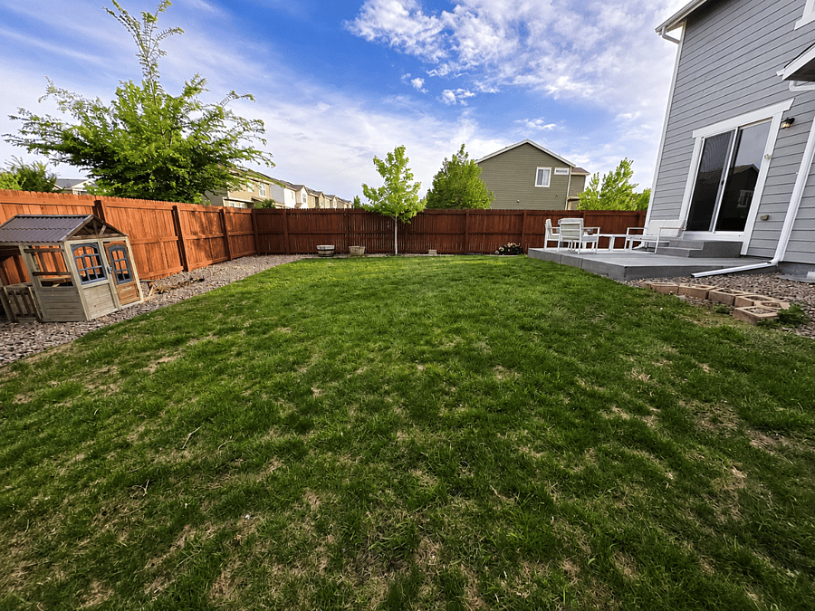 Large Backyard 6ft Privacy Fence