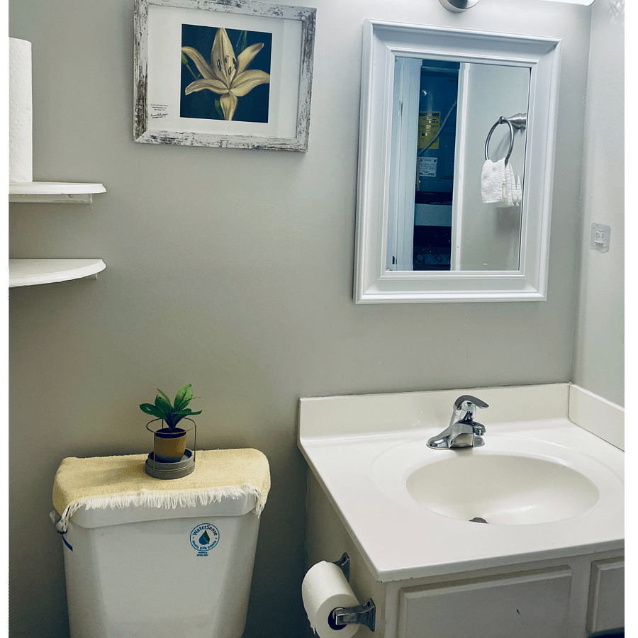 Private guest bathroom