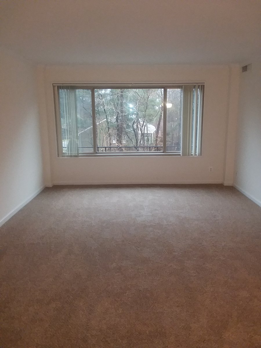 Furnished Finder property 889958_1 photo 7