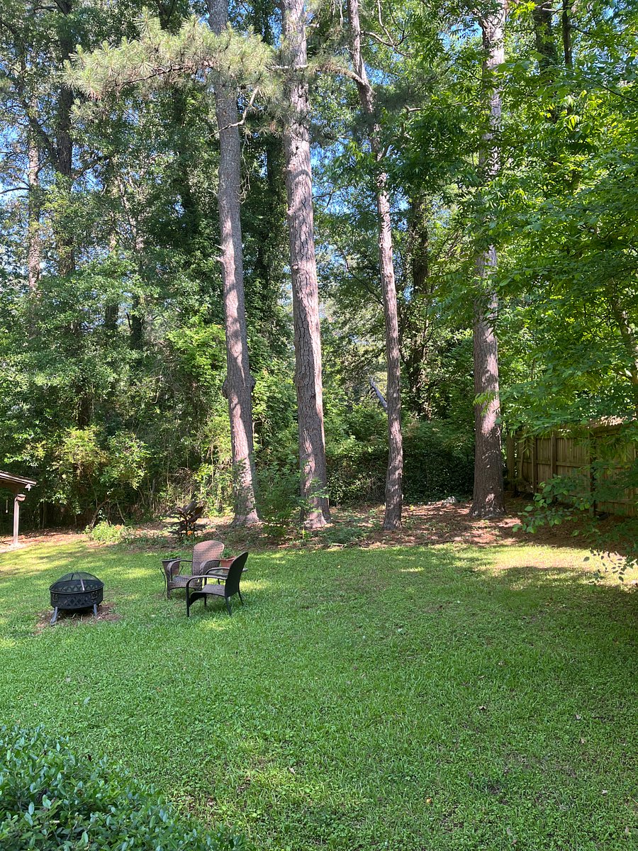 Spacious backyard
