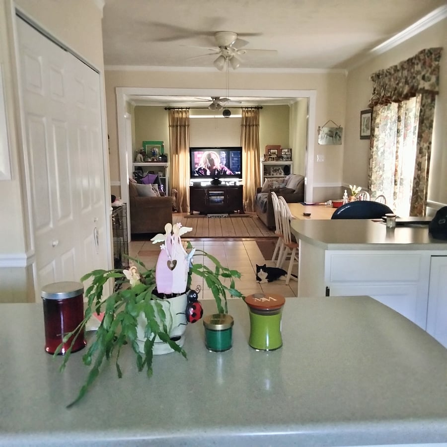 Furnished Finder property 890038_1 photo 11